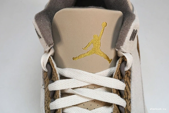 Retro Jordan  3  CT8532-102 Palomino CT8532-102 0925